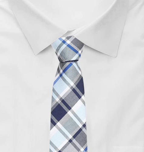 Men Blue & White Checked Broad Tie